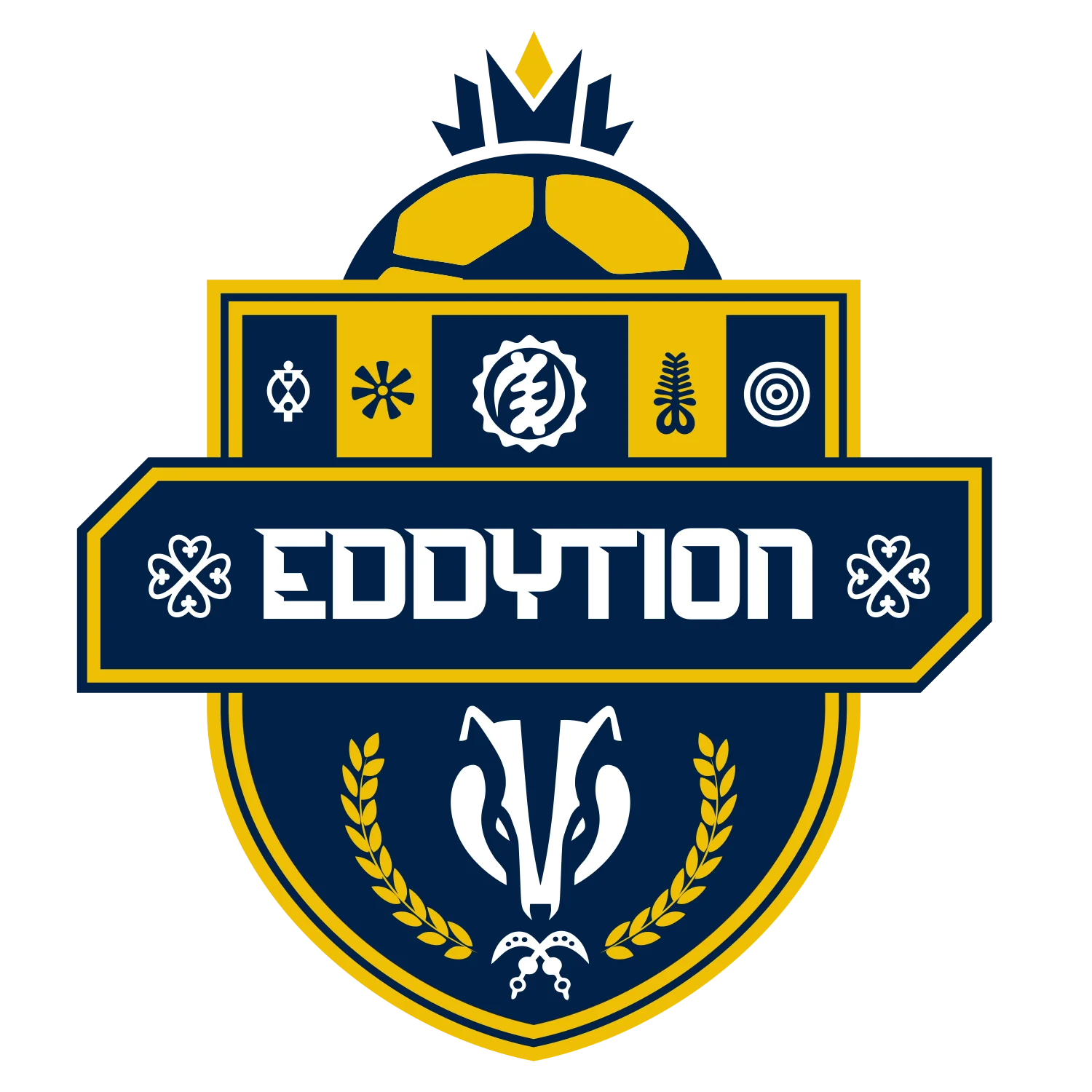 Eddytion Sports Academy